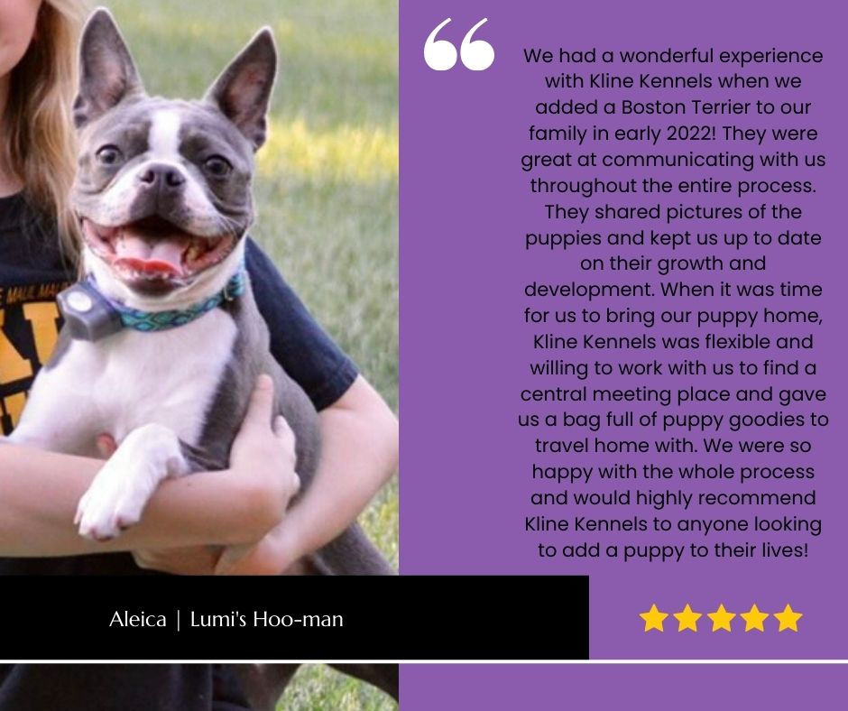 Testimonials Kline Kennels