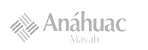 Logo Anahuac