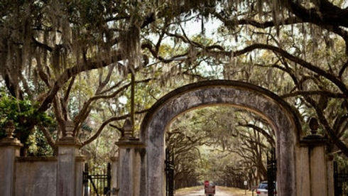 savanah arch.jpg