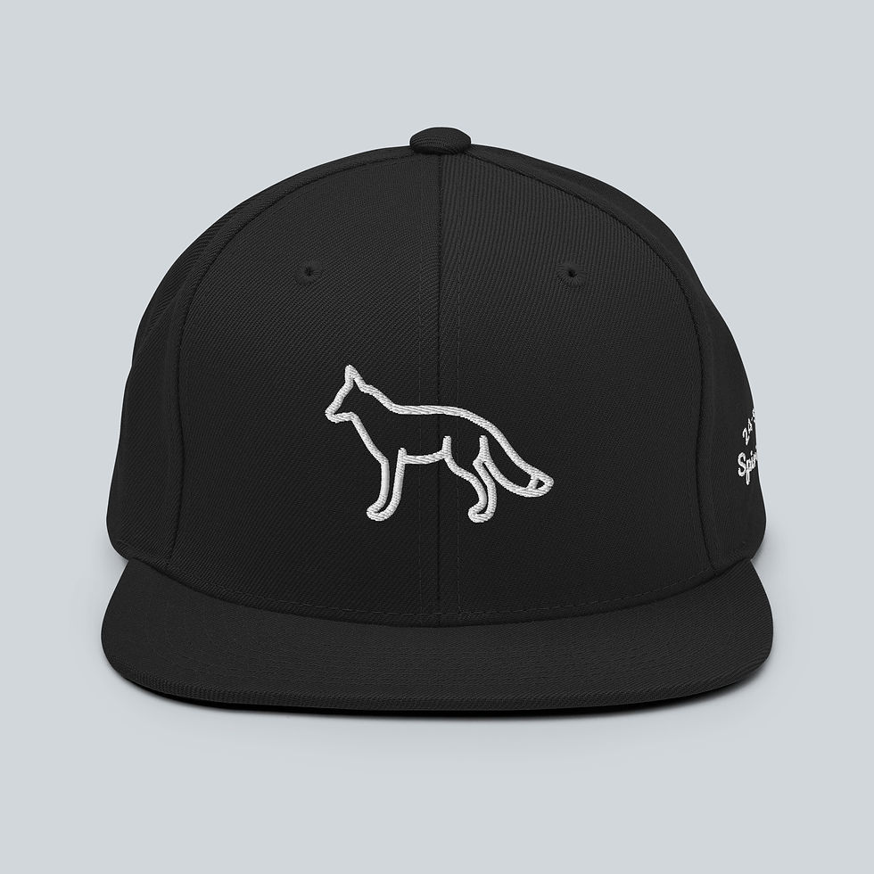 Thumbnail: Front view 'a little mischievous' fox logo adult snapback hat/cap in black