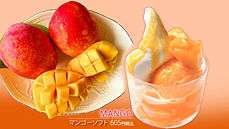 202606_mangosoft.jpg
