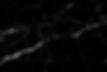 iStock-1191395887.jpg