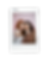 37.png
