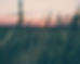iStock-1279295152.jpg