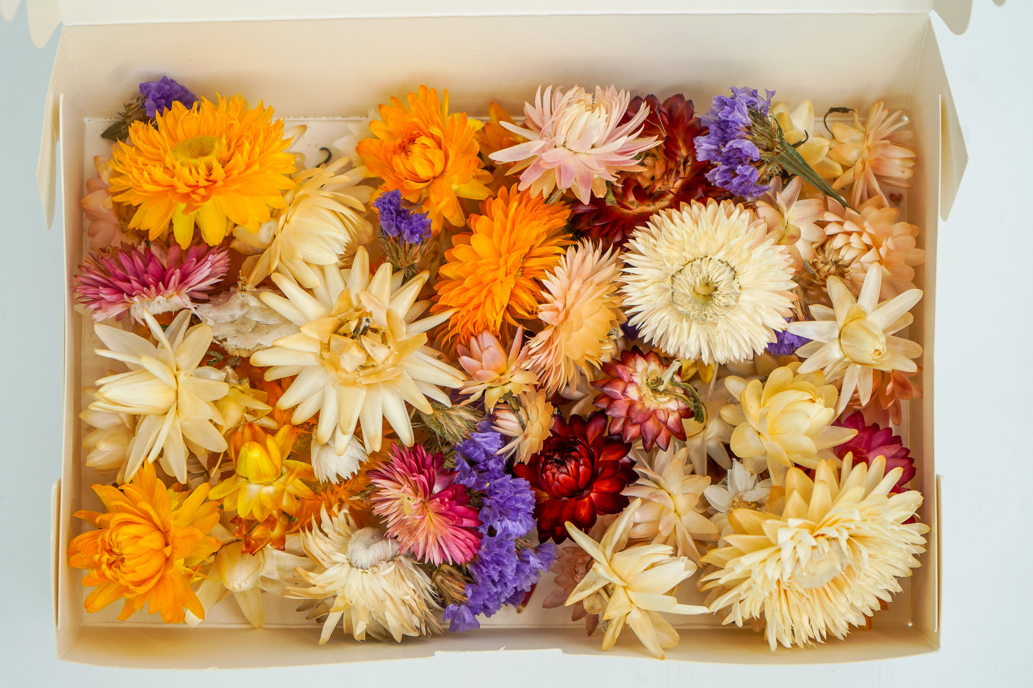 Curated Dried Flower Craft Box (Box 4)