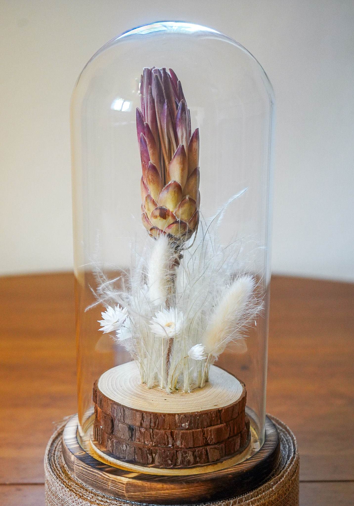 Glass Dome - Protea