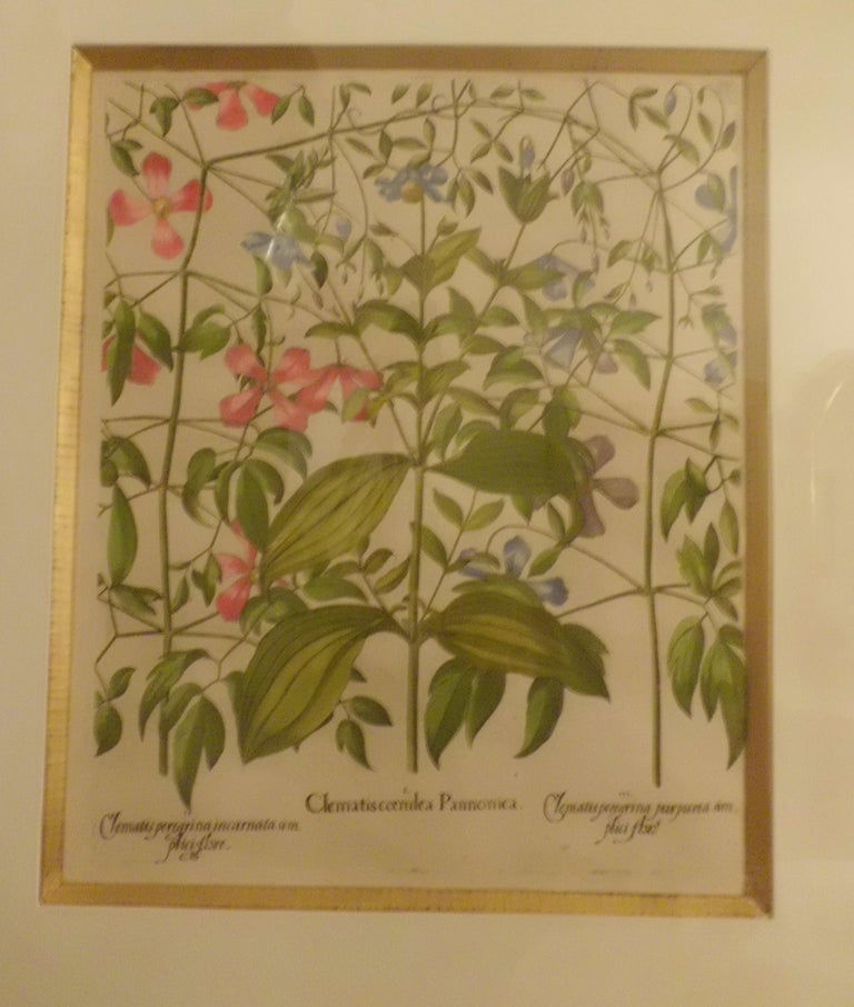 Miniatura: Pair of 17th century original decorative copper plate Engraving first edition 16