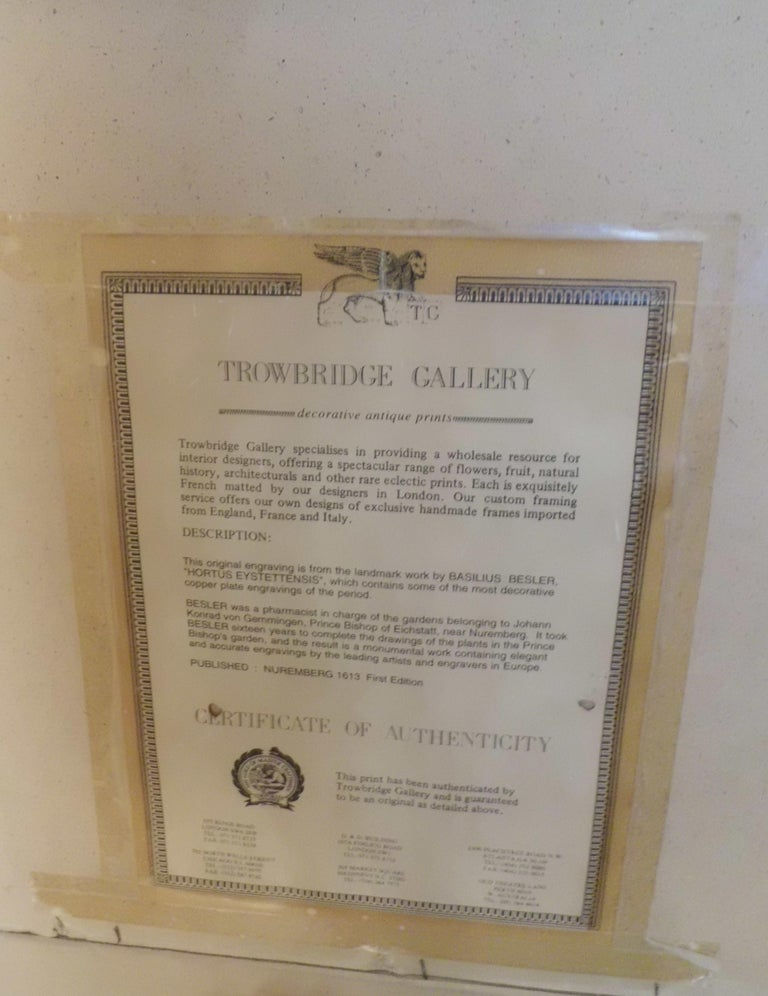 Miniatura: Pair of 17th century original decorative copper plate Engraving first edition 16