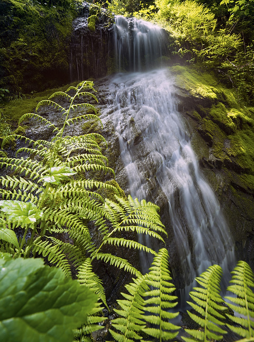 AdobeStock_141168912.jpeg