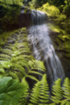 AdobeStock_141168912.jpeg