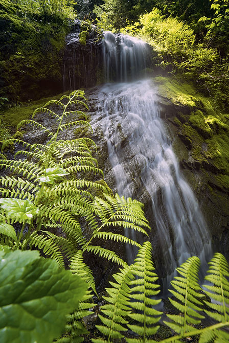 AdobeStock_141168912.jpeg