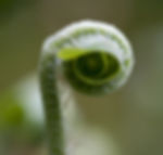 AdobeStock_132602782.jpeg