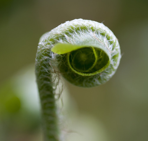 AdobeStock_132602782.jpeg