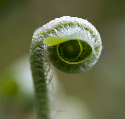 AdobeStock_132602782.jpeg