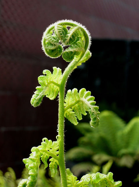 AdobeStock_89284328.jpeg