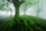 AdobeStock_89284328.jpeg
