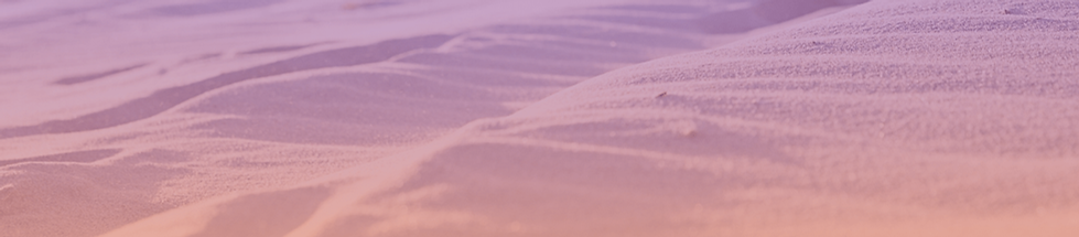 Wild and Free Zanzibar - Quote Image-min.png