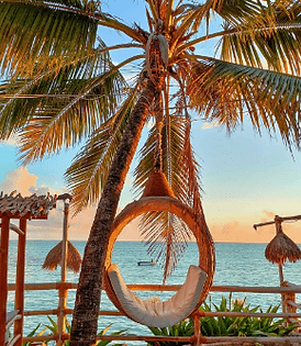 Wild and Free Zanzibar - fun guaranteed image-min.png