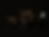 871DC3B1-0322-4638-957D-468D3B033E33.PNG