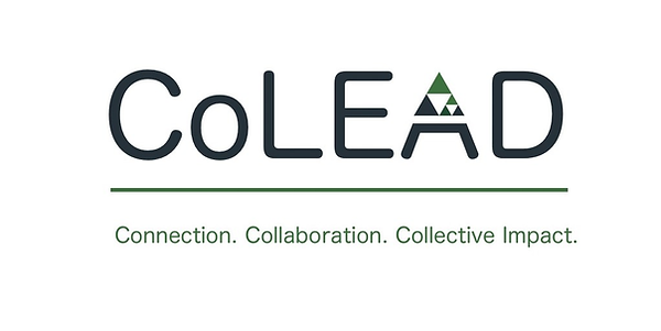 CoLEAD logo