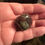 Thumbnail: Dragon Bloodstone 23.84g