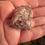 Thumbnail: Strawberry Quartz RAW 26.18g