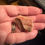 Thumbnail: Red Jasper RAW -15.13g