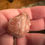 Thumbnail: Carnelian - RAW 20.46g