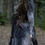 Thumbnail: Custom Nazgul dress