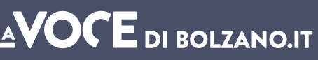 Dicono di noi: LA VOCE