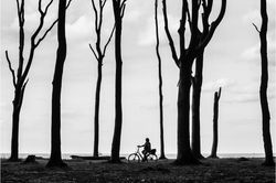 Gespensterwald_500px_16