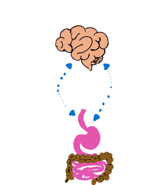 Functional GI Disorders Dr Vered Schildkraut Functional GI Disorders Dr Vered Schildkraut