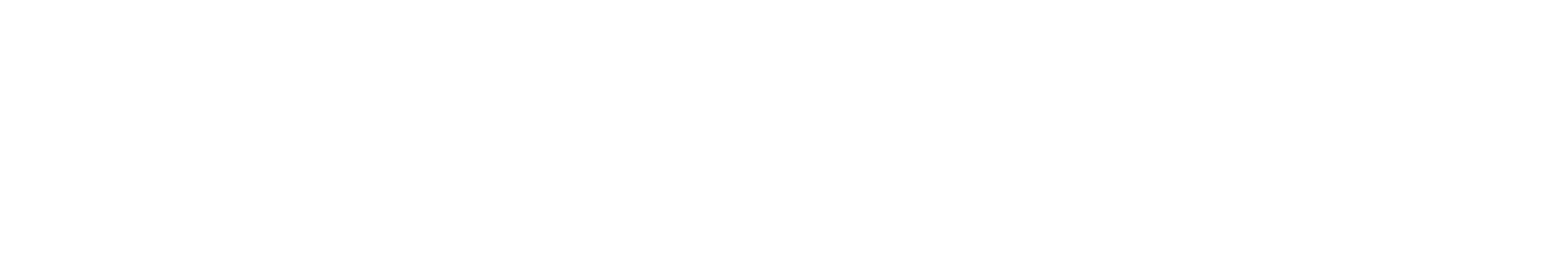 logo esteso bianco.png