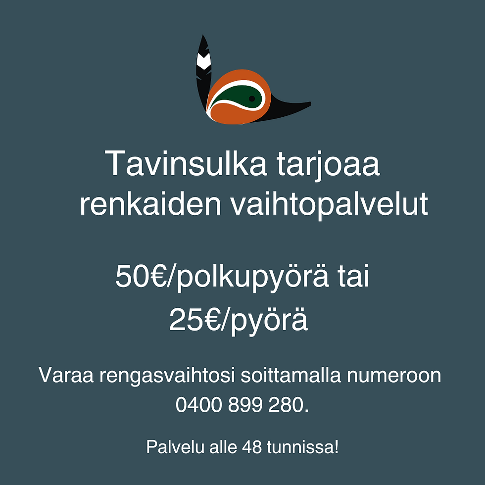 Pikkukuva: Continental Spike 240 (37-622) nastarengas