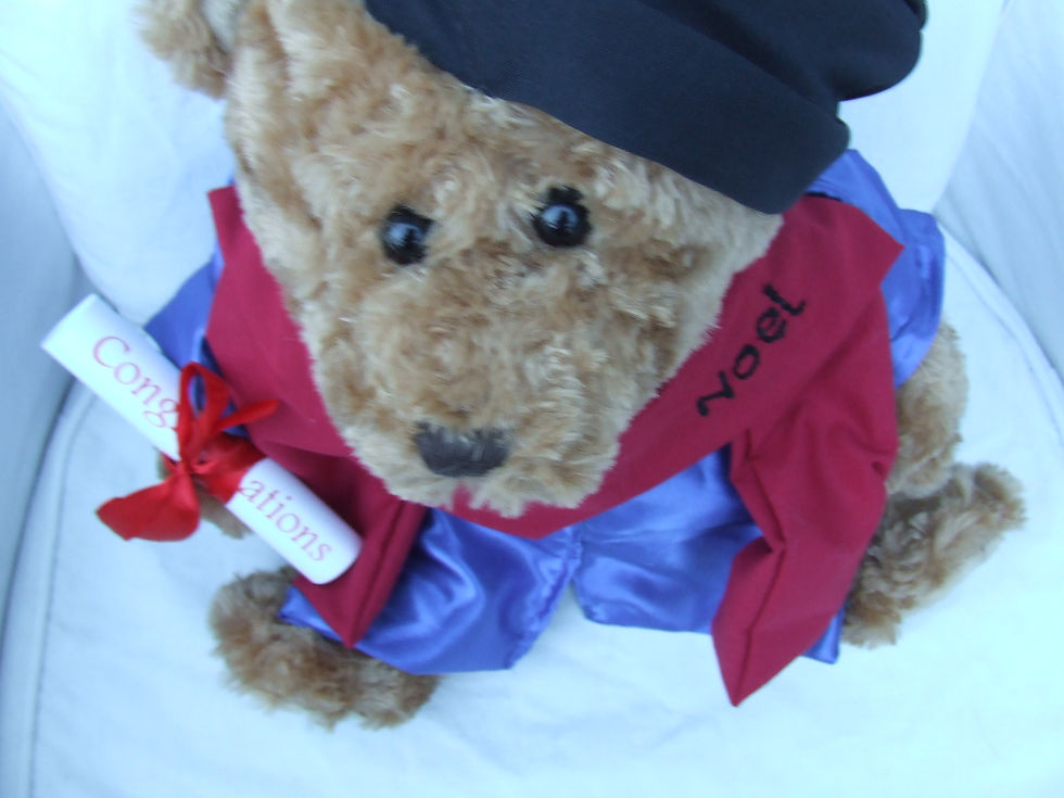 Thumbnail: PHD GRADUTATION BEAR RED/BLUE