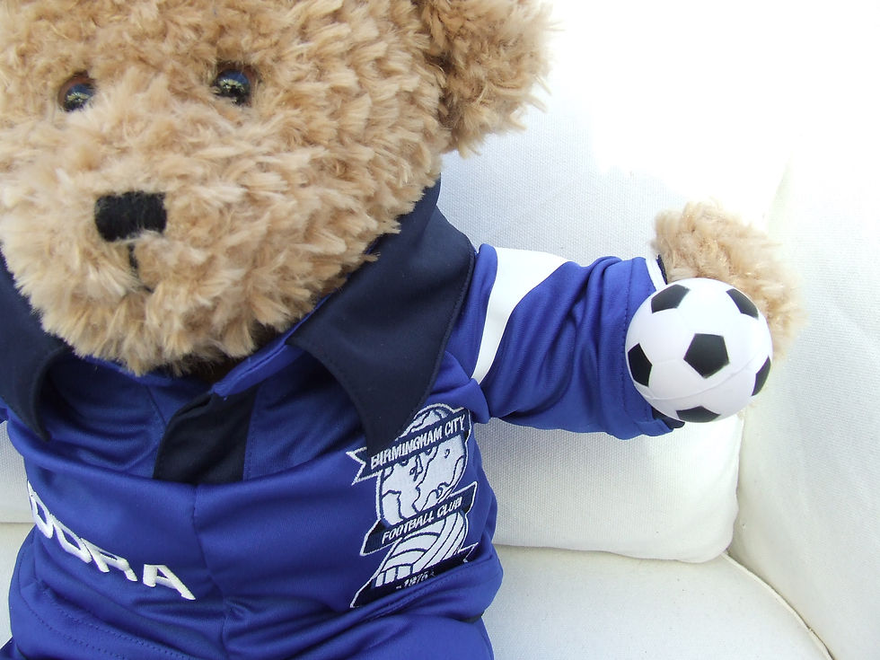 Thumbnail: RECYCLED 1 piece SPORT bear uniform