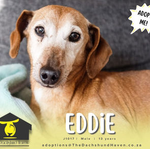 Eddie