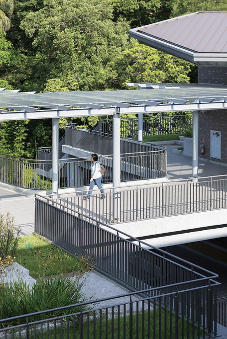 採用斜屋頂與露臺綠化讓永建國小成為隱沒樹梢間的校園(1).jpg