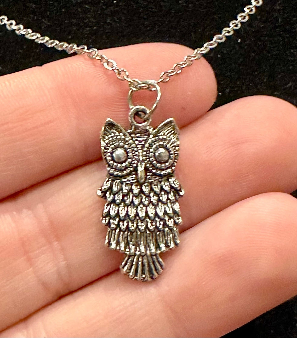 Thumbnail: Silver, Owl, Simple, Pendant, Necklace