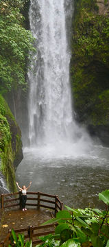 Hidden waterfall in Costa Rica rainforest jungle