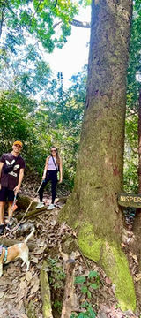 Hiking through rainforest trails during an adventure tour in Costa Rica