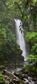 La Paz Waterfall Gardens tour Costa Rica rainforest experience