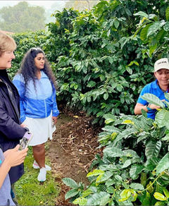Visitors exploring Doka Estate coffee plantation on outdoor guided tour, Costa Rica