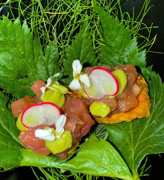 Farm to table food Costa Rica fresh ingredients