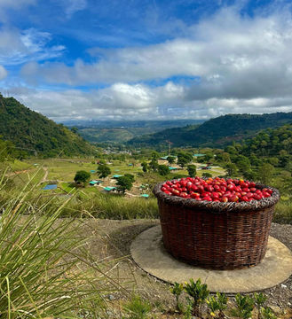 Mountain landscape Hacienda Orosi Costa Rica