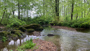 ROCK HILL FARM NEEDS A REAL CONSERVATION PLAN; NOT JUST A CONSERVATION LABEL.