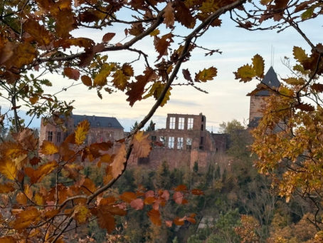 🍁 Herbstzeit – Peelingzeit Die perfekte Saison für chemische Tiefenpeelings in Düren, Nörvenich, Merzenich, Vettweiß, Kreuzau & Zülpich