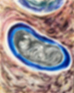 in utero, embryo, womb, source, life, choice, Texas SB 8, Roe v Wade, bodily autonomy