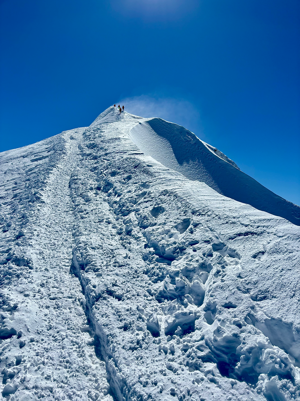 Arête sommitale du Mont Blanc