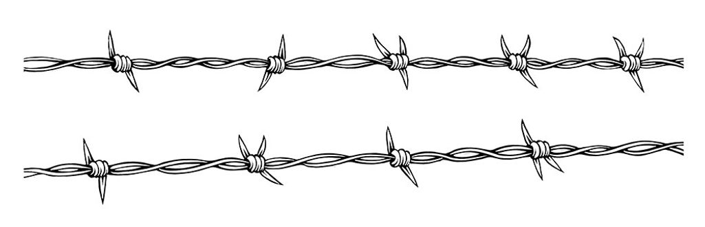 barbed_wire-compressed.jpg